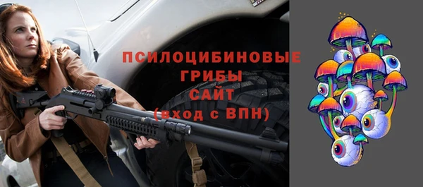 мдпв Володарск