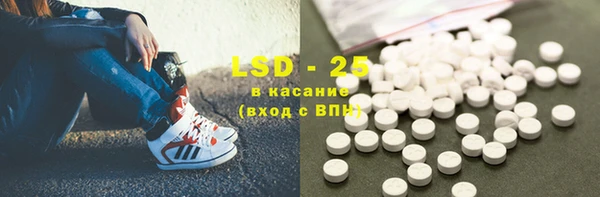 прущие грибы Вяземский