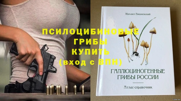 мдпв Володарск